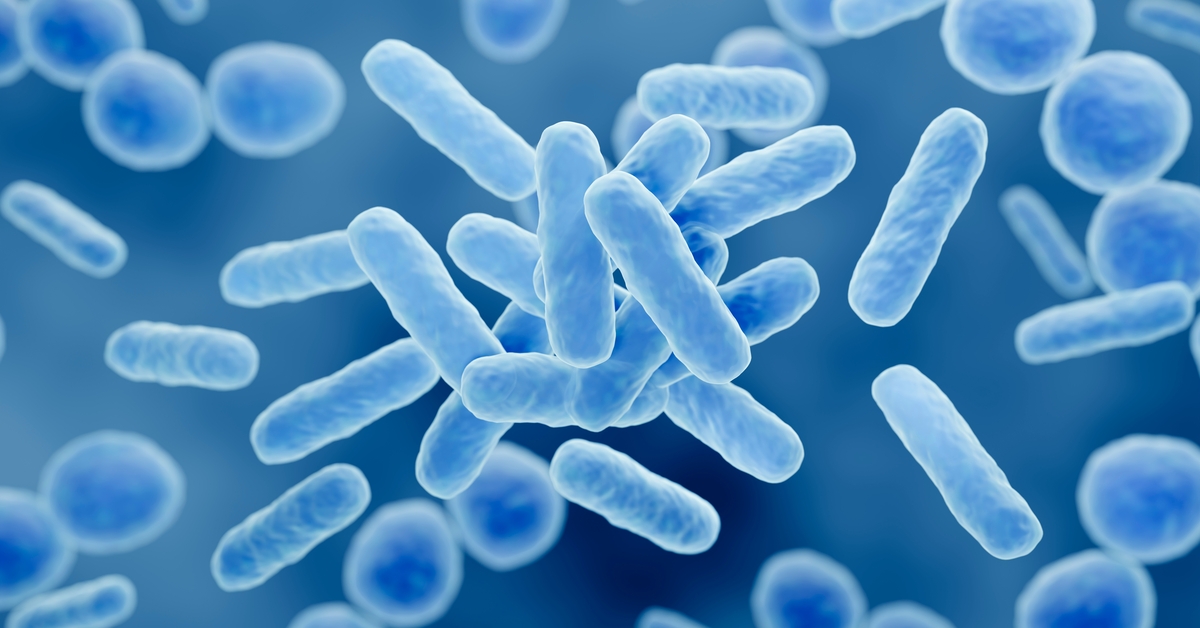 Probiyotikler dermatolojik sorunları olan çocuklara yardımcı olabilir mi?